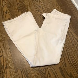 Articles of Society flares